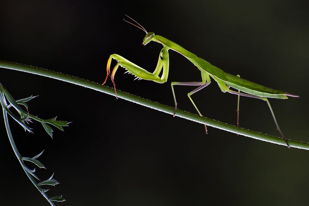 Photograph by Fikriye Er