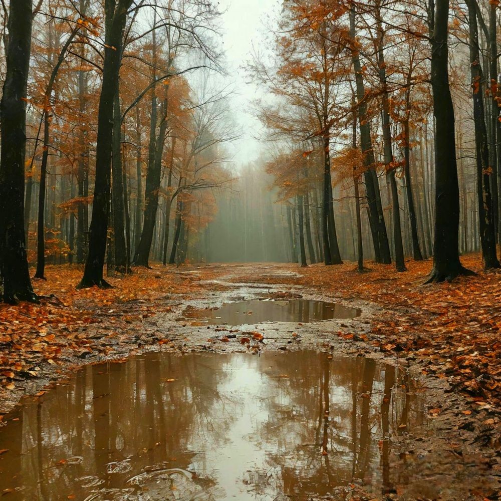 Photograph by Диана Бородзе