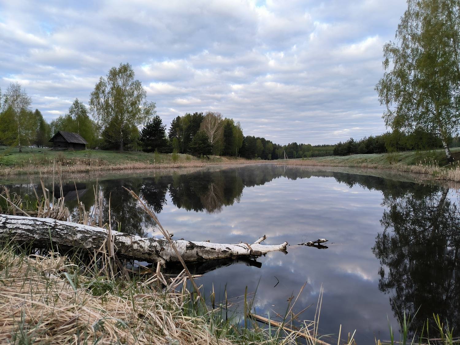 Photo #11892762