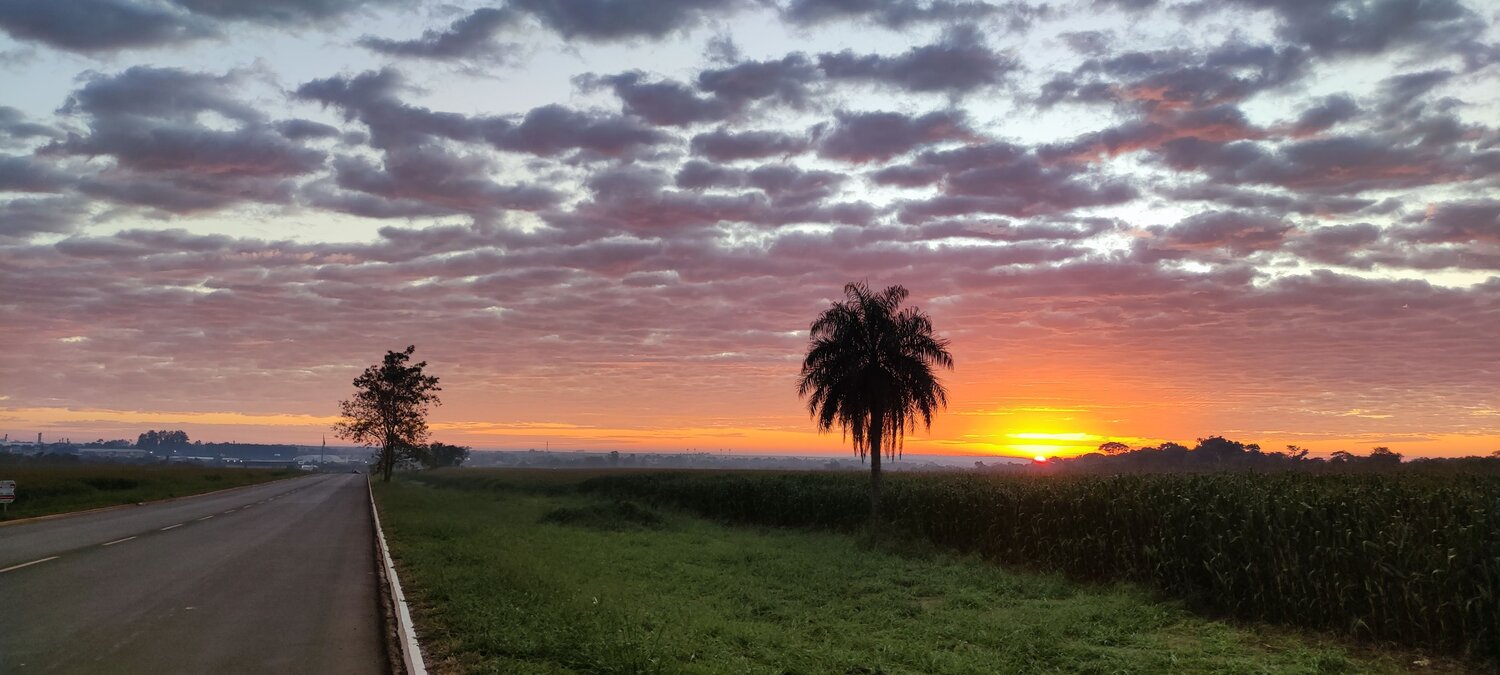 Photo #11892764