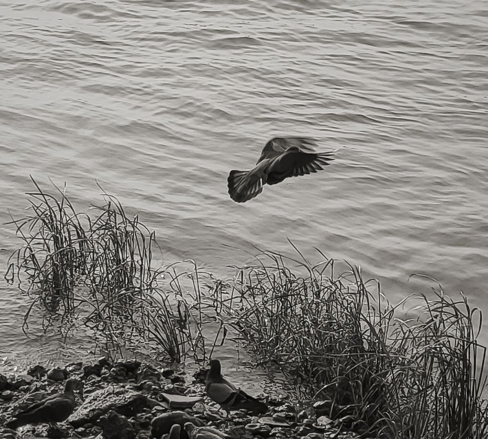 Фотография автора Debdutt Saha