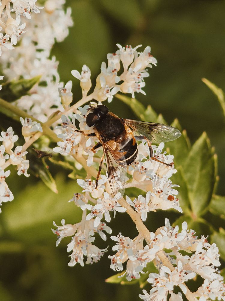 Photograph by Екатерина Савеня