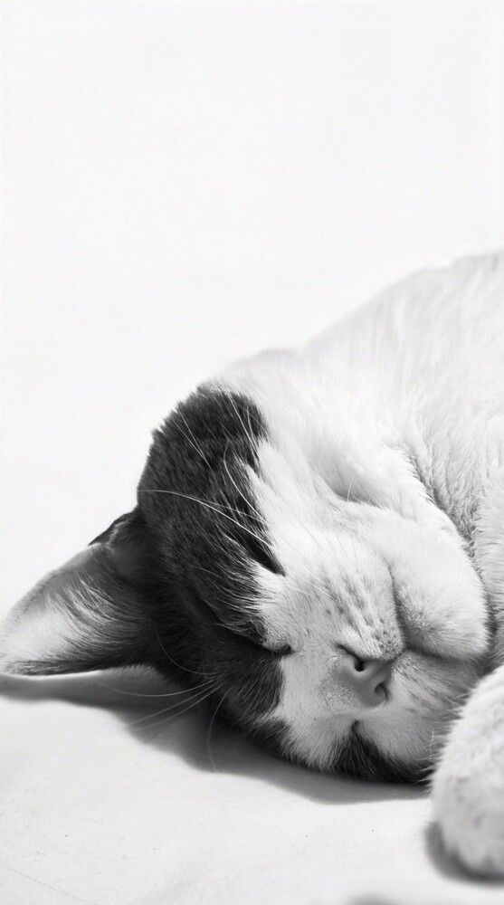 Photograph by Оксана Бессчетнова