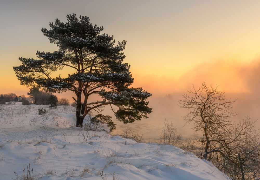 Photograph by Roman Dmitriev