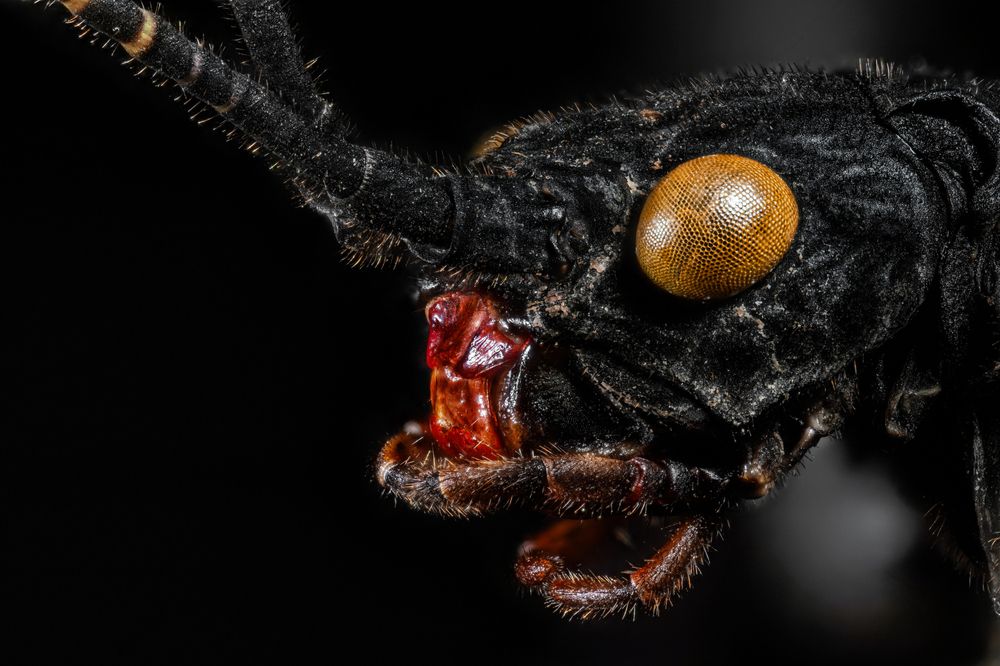 Photograph by Алексей Еремеев