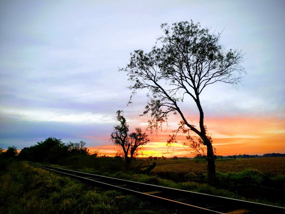Photograph by Marcos Rojas