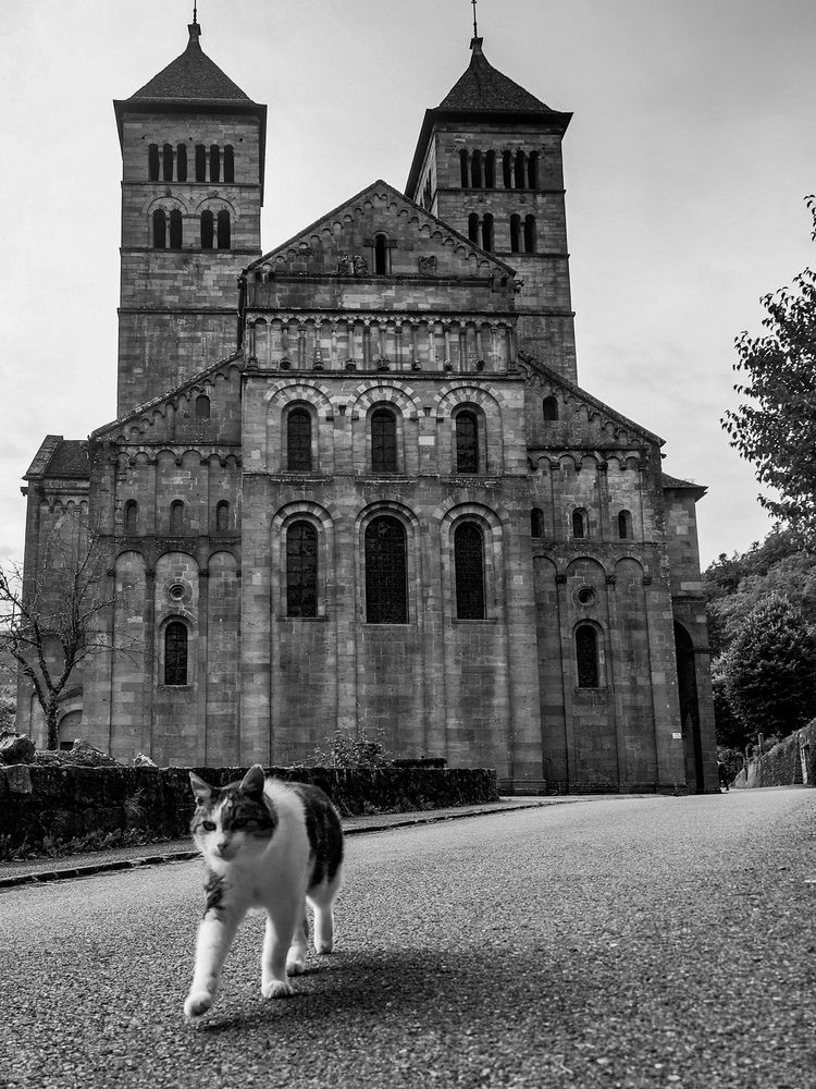 Photograph by Irina Tischer