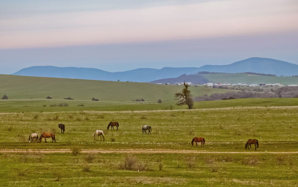 Фотография автора Ольга Виноградова