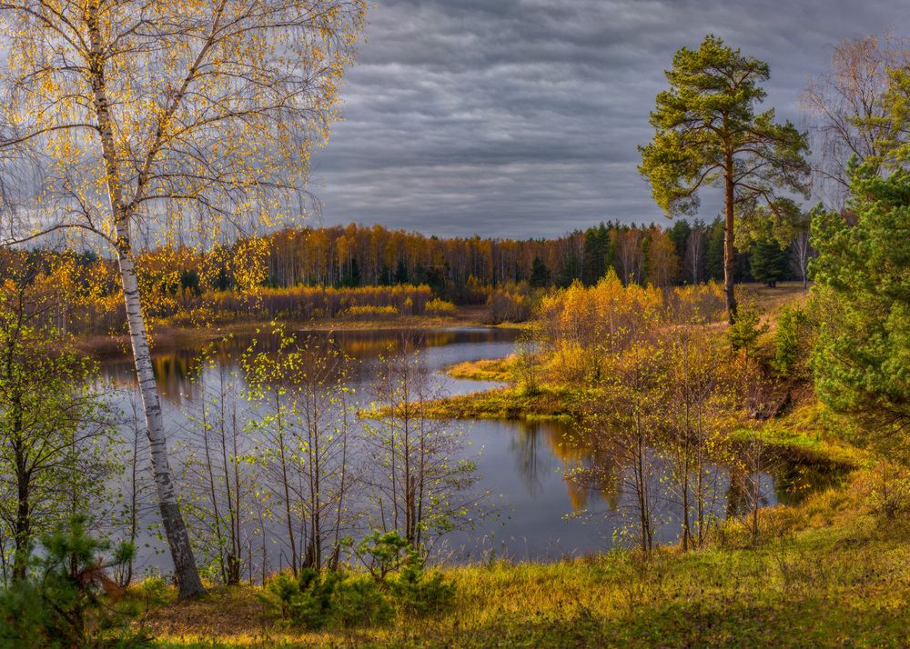 Photograph by Алексеев Дмитрий