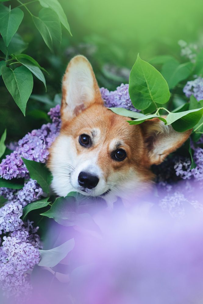 Photograph by Анна Абрамова