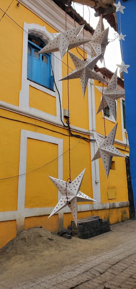 Photo #11892955