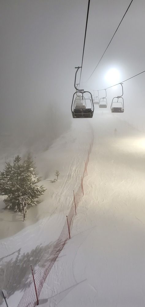 Photo #11892956