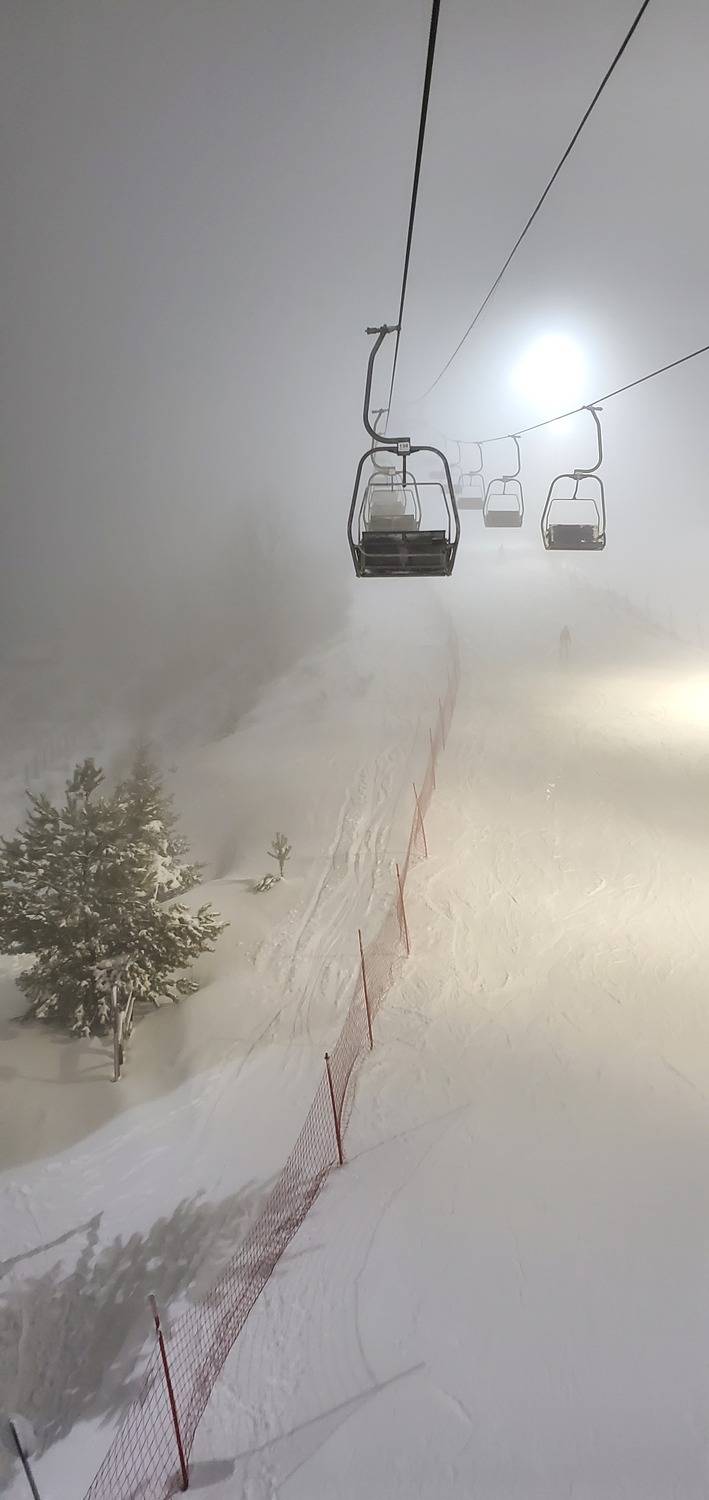 Photo #11892956