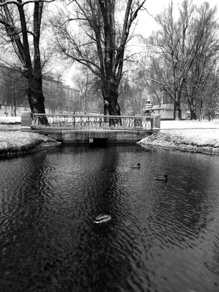 Фотография автора Борис Журавлёв