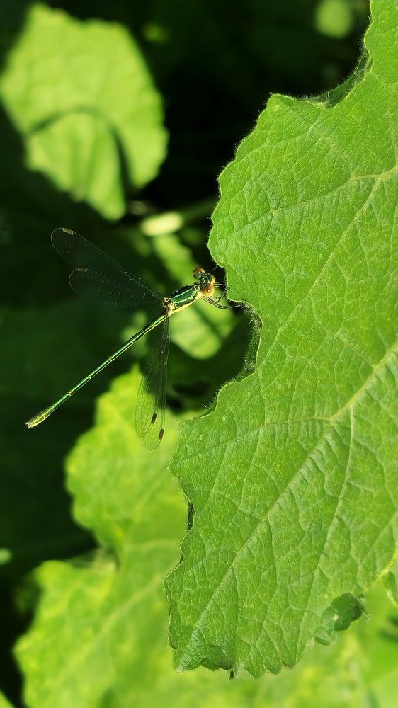 Фотография автора Ольга Быстрова