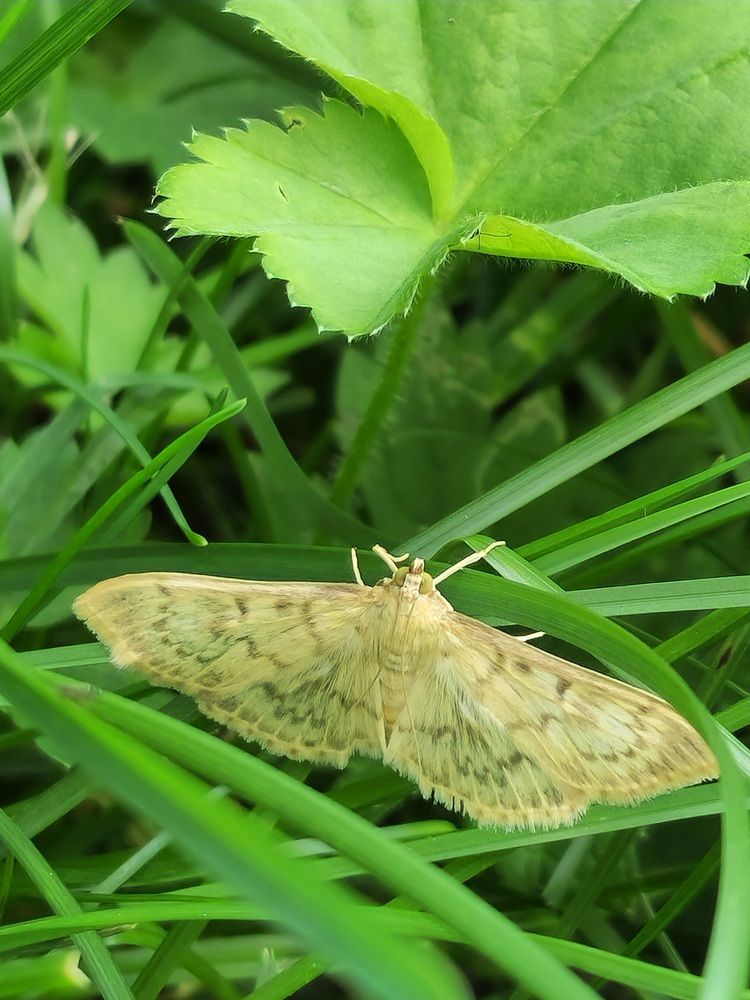 Фотография автора Ольга Быстрова