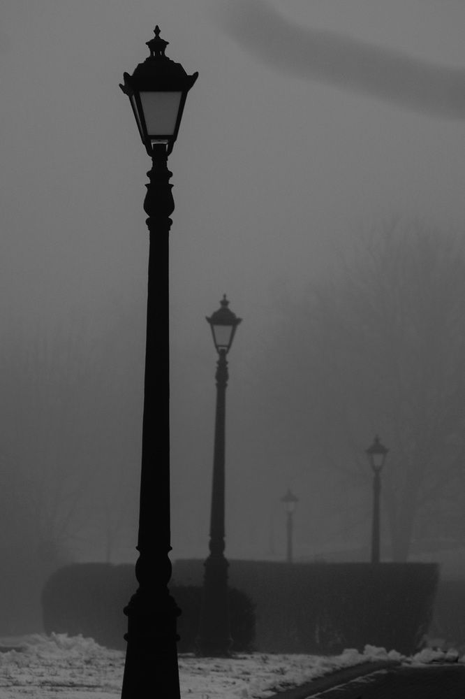 Photograph by Александр Курлович