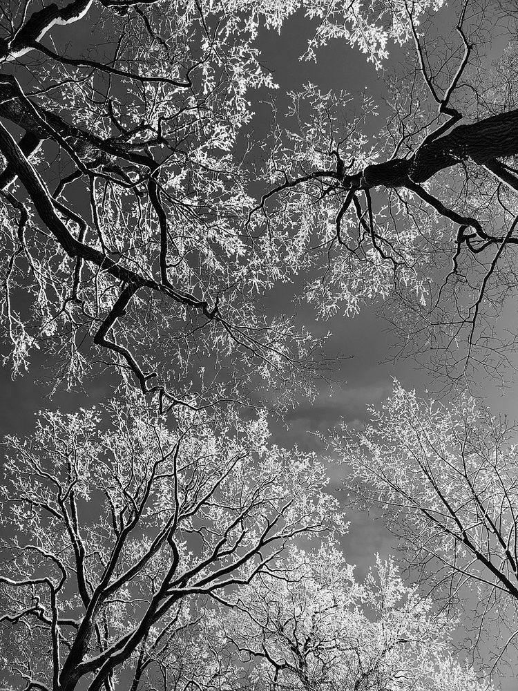 Photograph by Yulia Niki