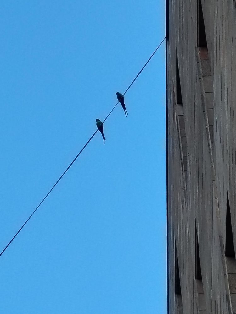 Рискующие Risk-takers