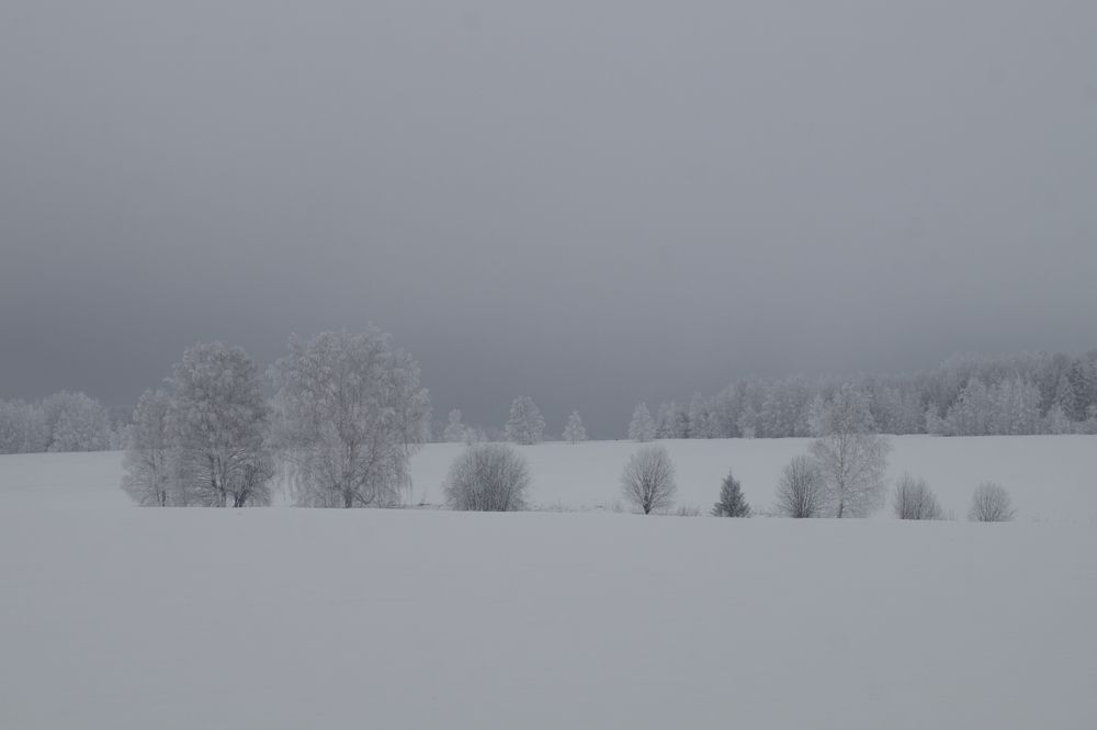 Photograph by Сергей Забиякин