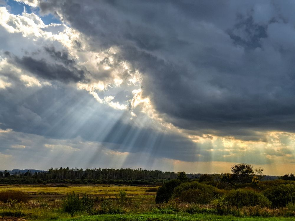 Photograph by Анастасия Гурова