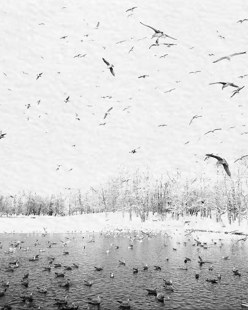 Photograph by Yulia Niki