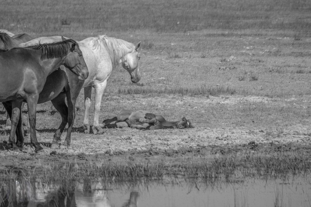 Photograph by Kristiina Stahlberg