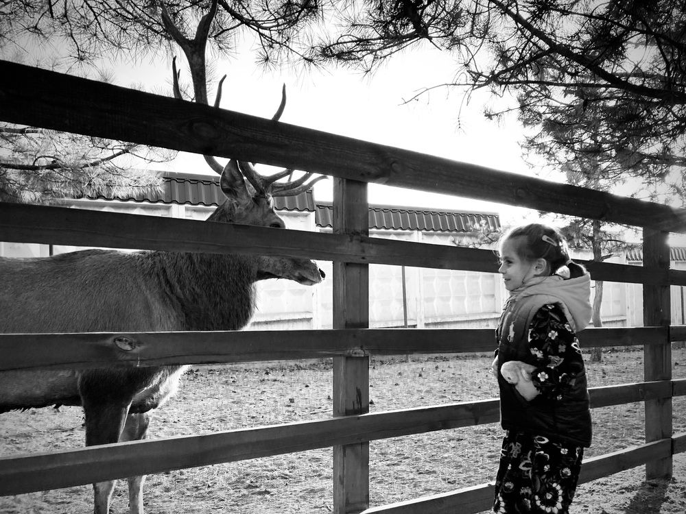 Photograph by Мария Мирная