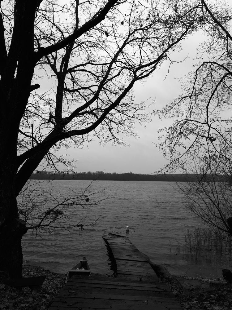 Photograph by София Лысова