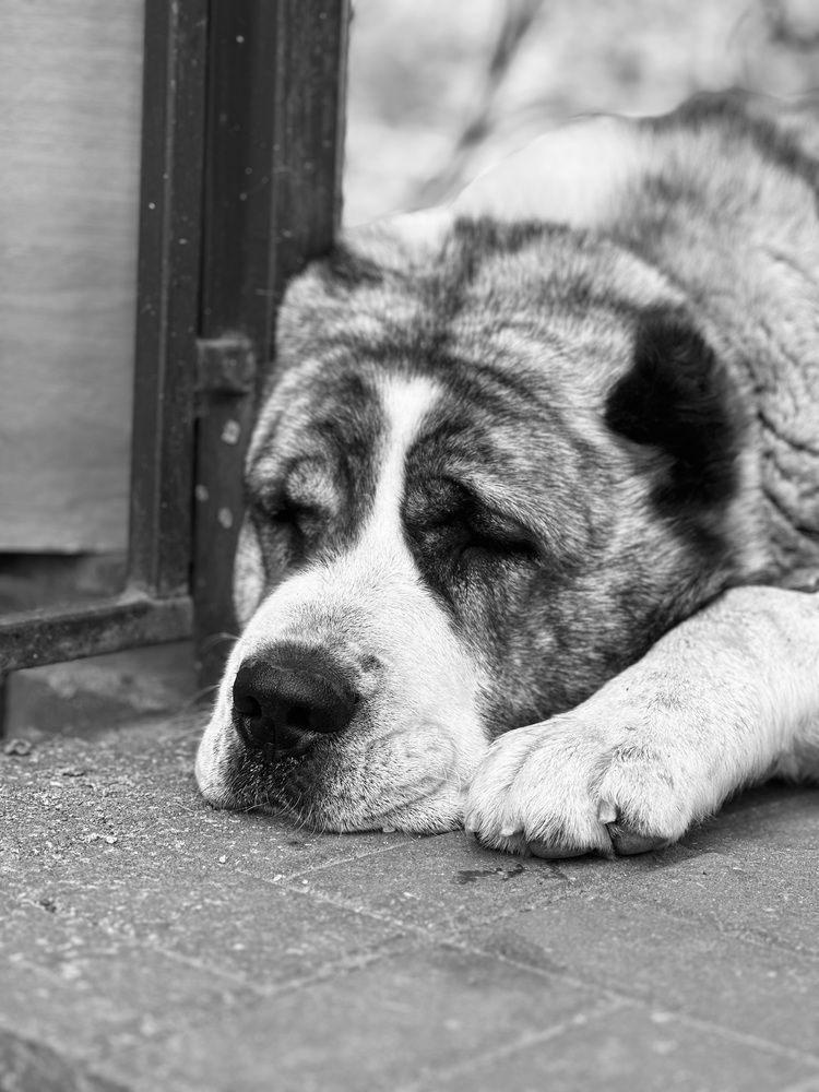 Photograph by София Лысова