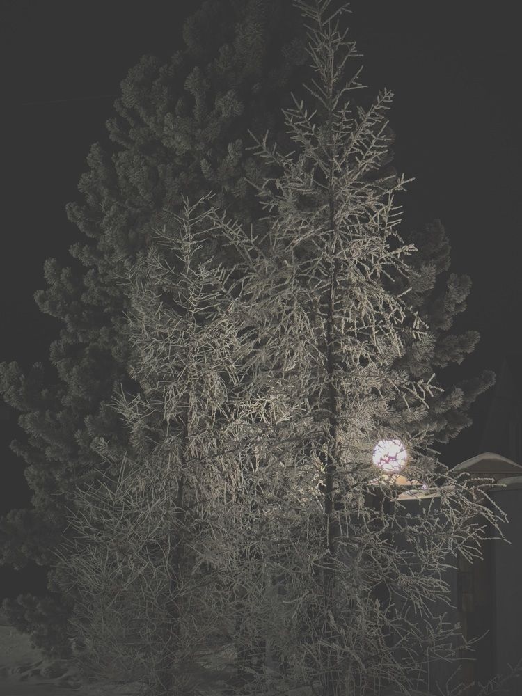 Photograph by Лилия Нуриева