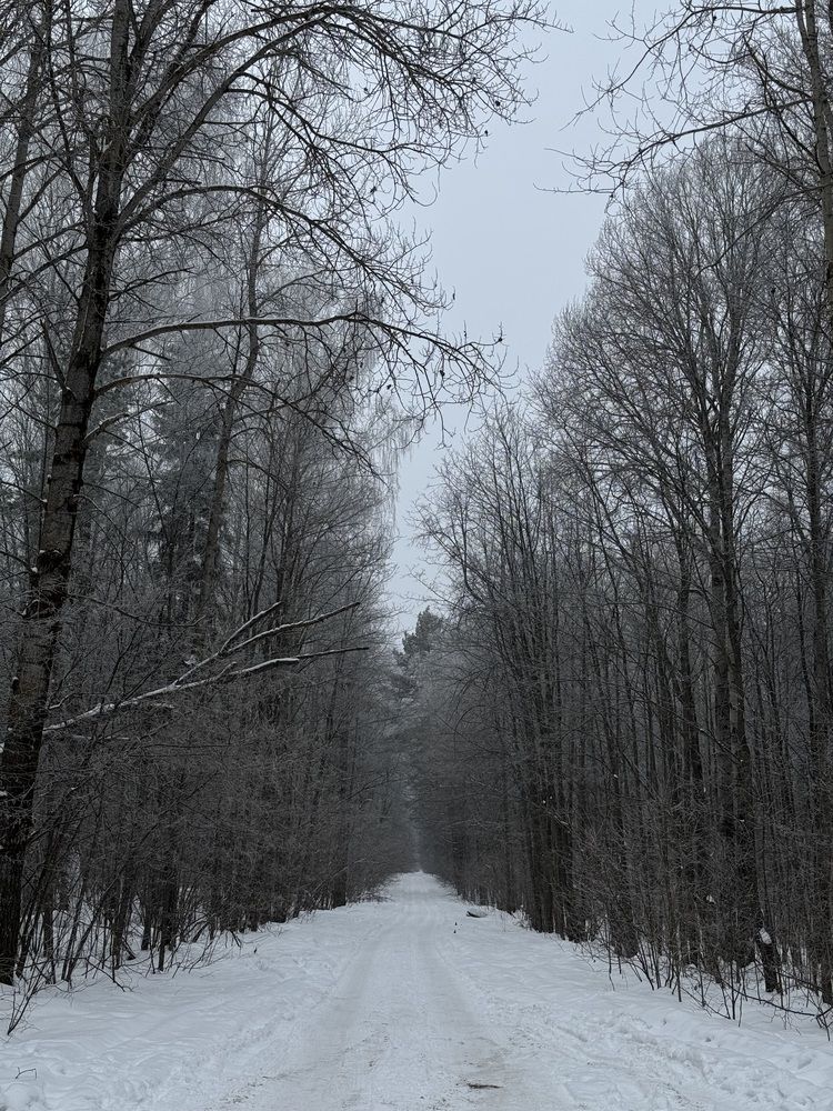 Photograph by Лилия Нуриева