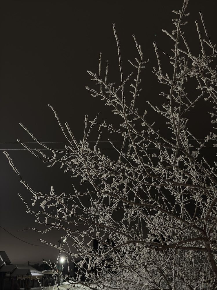 Photograph by Лилия Нуриева