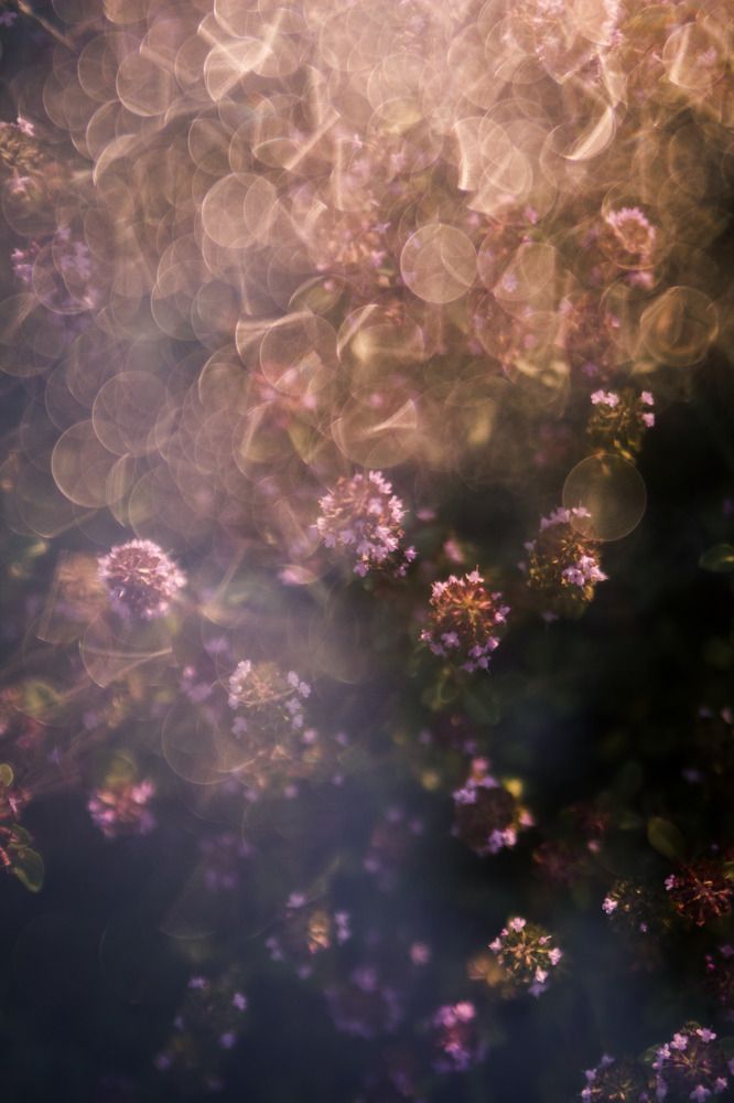 Photograph by Катя Цвет