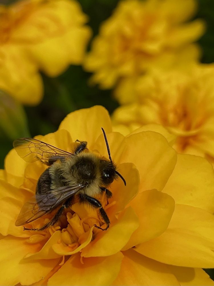 Фотография автора Olga Andriuc