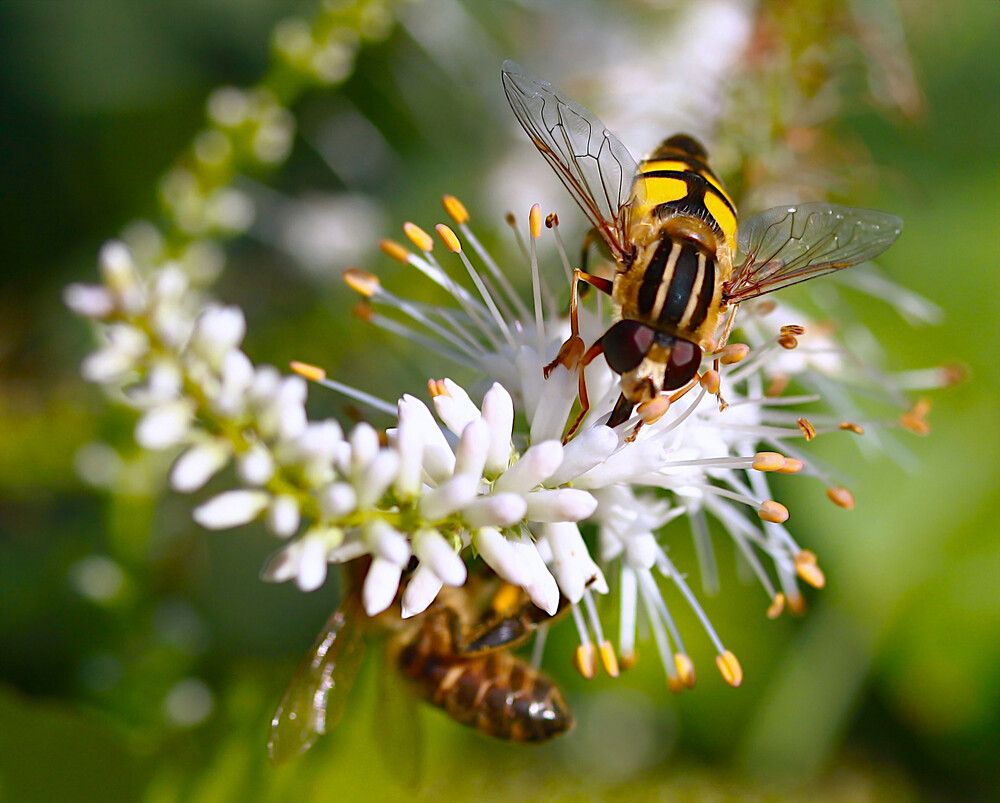 Photograph by Гагик Саркисян