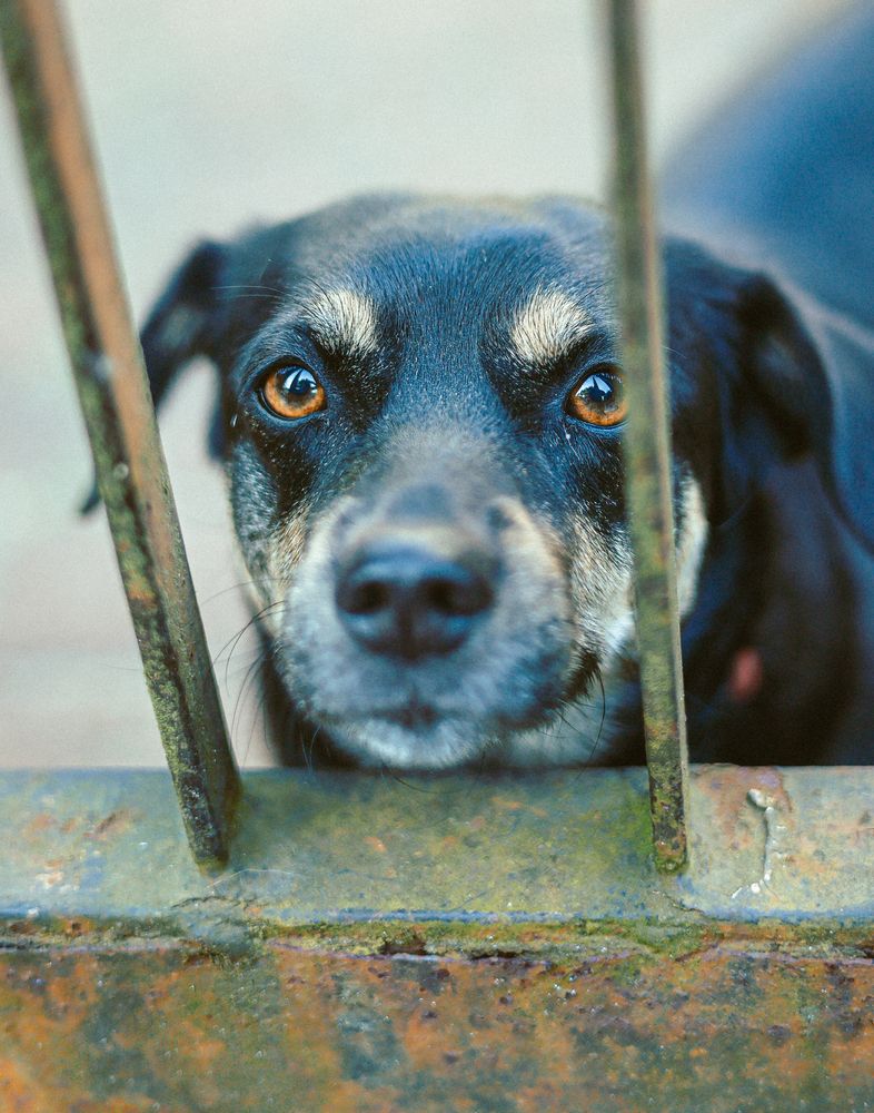 Фотография автора Евгений