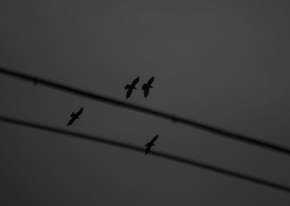 Photograph by Mad Mouse