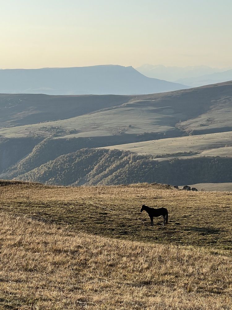 Photograph by Елена Квинт
