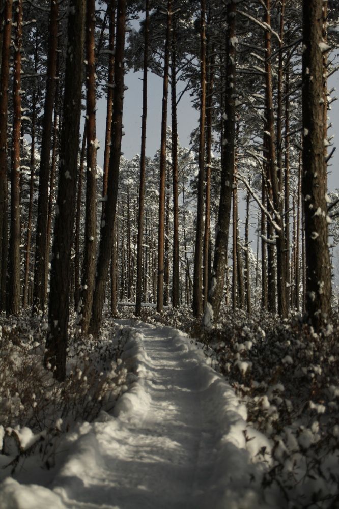 Photograph by Viktorija Bočarova