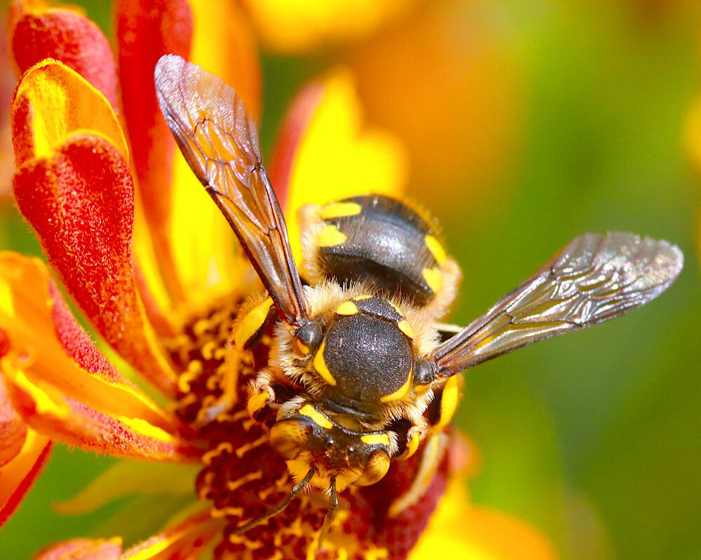 Photograph by Гагик Саркисян