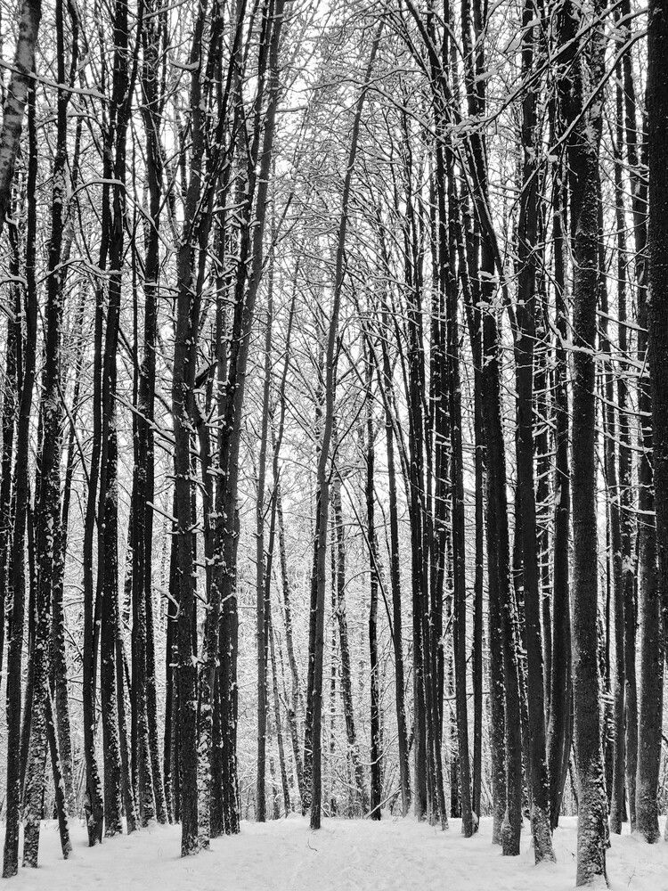 Photograph by Яна Галимуллина