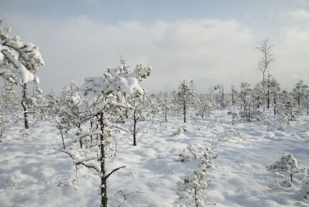 Photograph by Viktorija Bočarova