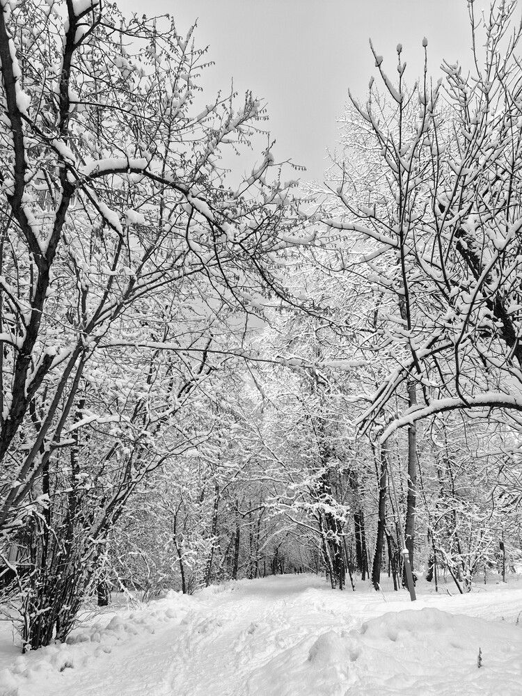 Photograph by Яна Галимуллина