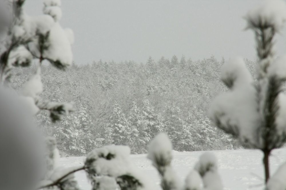 Photograph by Viktorija Bočarova