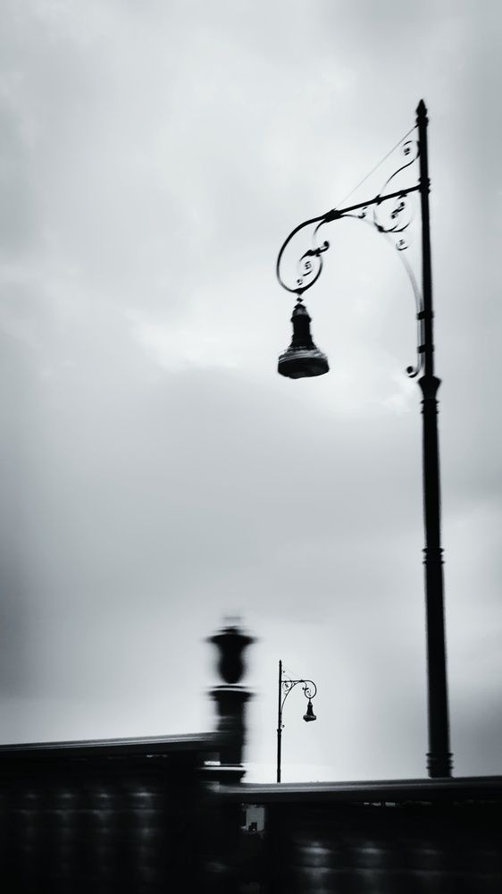 Photograph by حنان همام أحمد عبد الرحمن