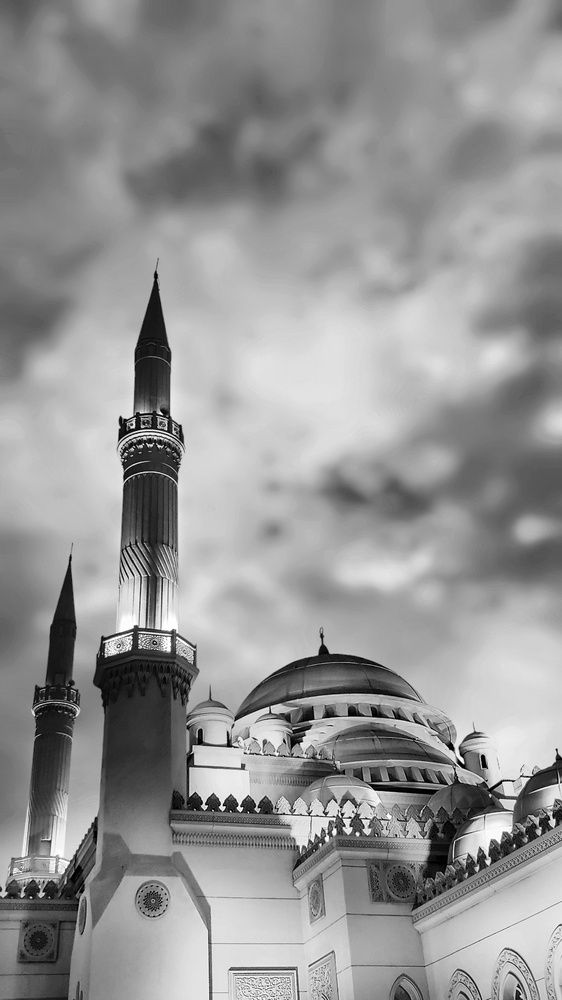 Photograph by حنان همام أحمد عبد الرحمن