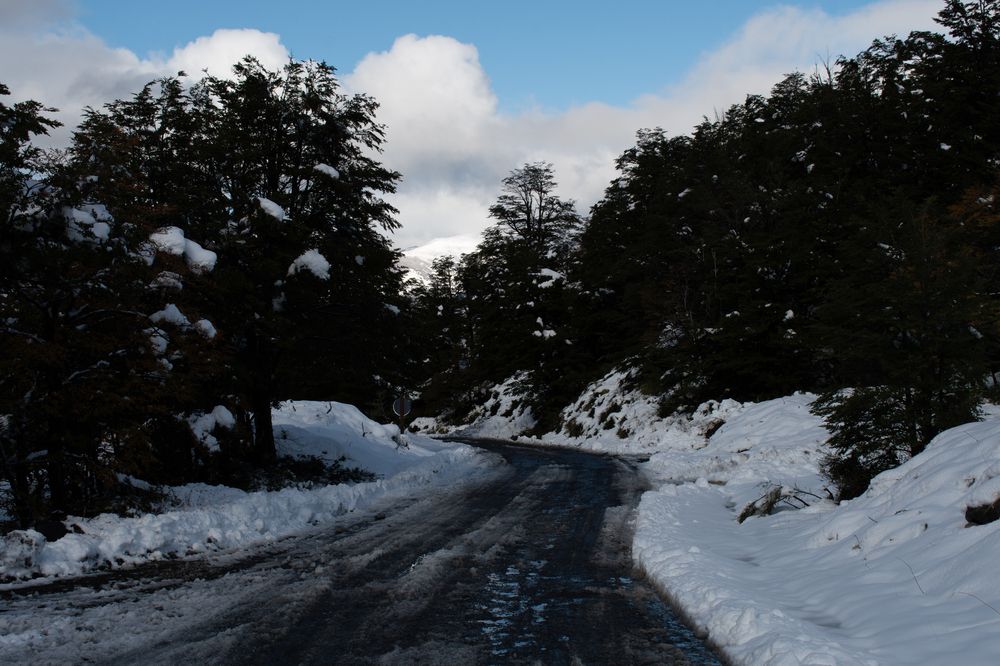 Фотография автора Liliana Cancino Abregu