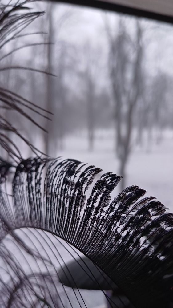 Photograph by Елена Воронова