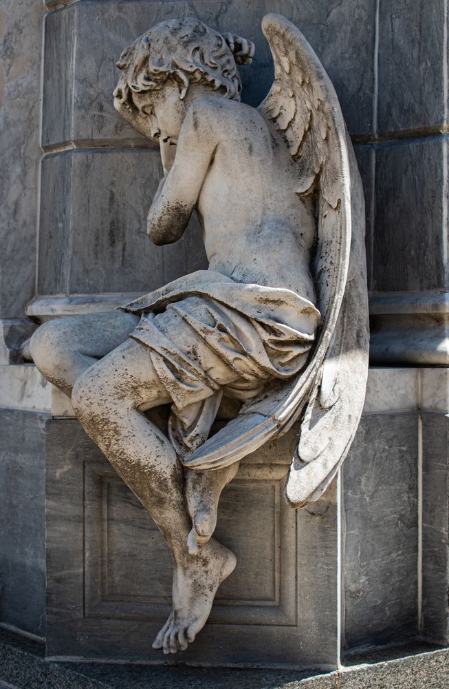 Фотография автора Liliana Cancino Abregu